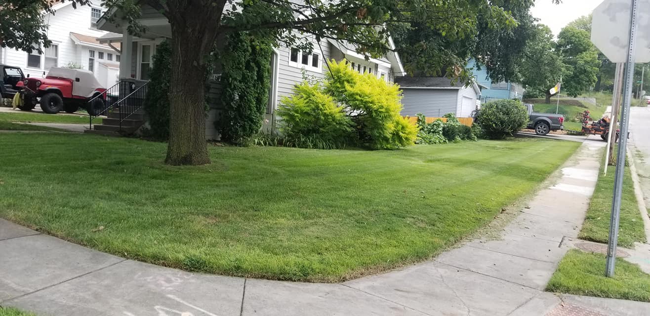 Lawn Service